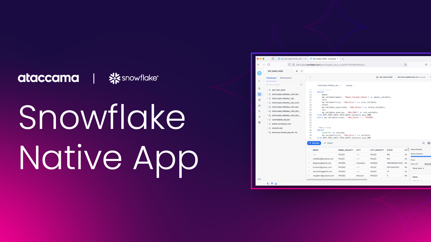 Snowflake Native App